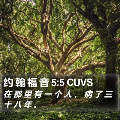 约 翰 福 音 5:5 CUVS Bible Verse Image