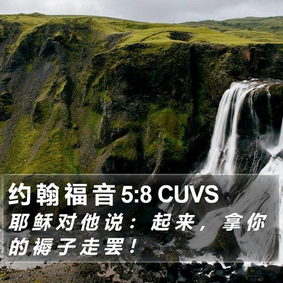 约 翰 福 音 5:8 CUVS Bible Verse Image