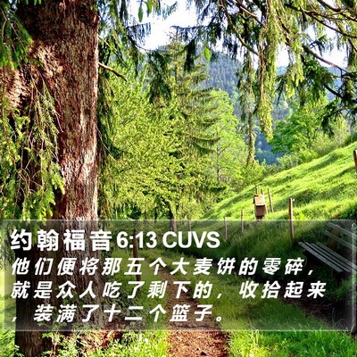 约 翰 福 音 6:13 CUVS Bible Verse Image