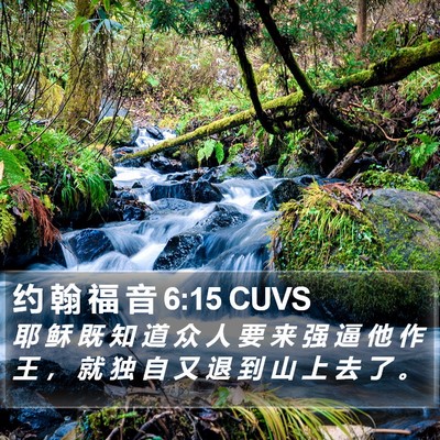 约 翰 福 音 6:15 CUVS Bible Verse Image