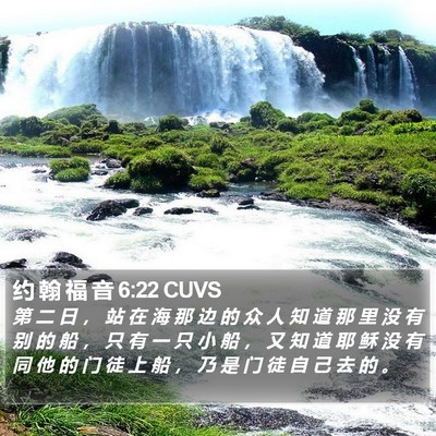 约 翰 福 音 6:22 CUVS Bible Verse Image