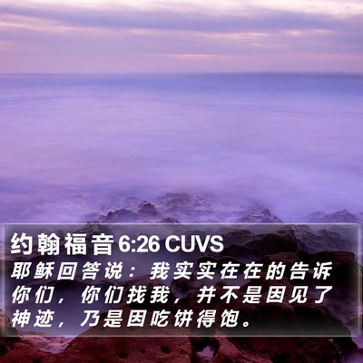 约 翰 福 音 6:26 CUVS Bible Verse Image