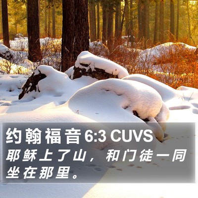 约 翰 福 音 6:3 CUVS Bible Verse Image