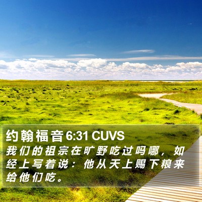 约 翰 福 音 6:31 CUVS Bible Verse Image