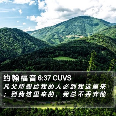 约 翰 福 音 6:37 CUVS Bible Verse Image
