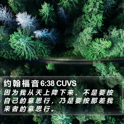 约 翰 福 音 6:38 CUVS Bible Verse Image