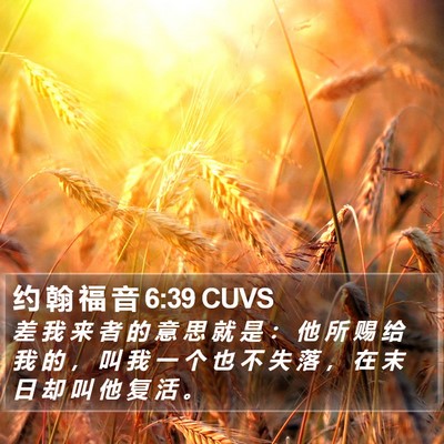 约 翰 福 音 6:39 CUVS Bible Verse Image