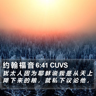约 翰 福 音 6:41 CUVS Bible Verse Image