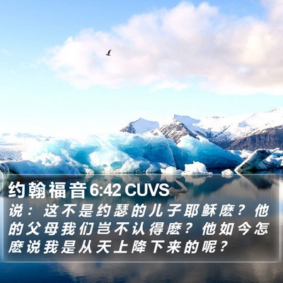 约 翰 福 音 6:42 CUVS Bible Verse Image