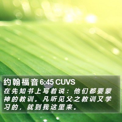 约 翰 福 音 6:45 CUVS Bible Verse Image