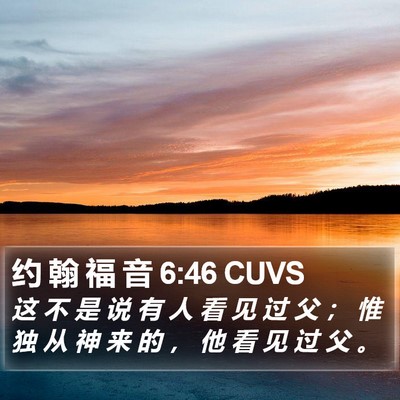 约 翰 福 音 6:46 CUVS Bible Verse Image