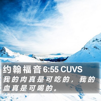 约 翰 福 音 6:55 CUVS Bible Verse Image
