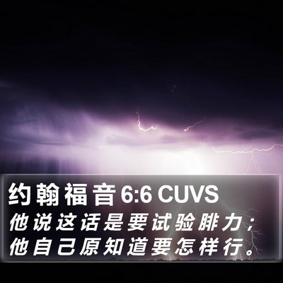 约 翰 福 音 6:6 CUVS Bible Verse Image