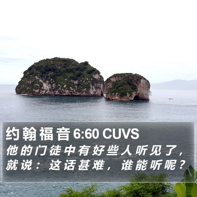 约 翰 福 音 6:60 CUVS Bible Verse Image