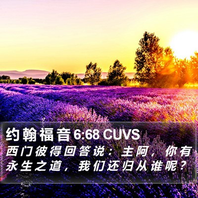 约 翰 福 音 6:68 CUVS Bible Verse Image