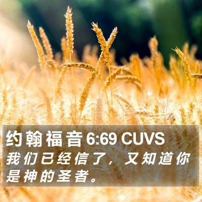 约 翰 福 音 6:69 CUVS Bible Verse Image