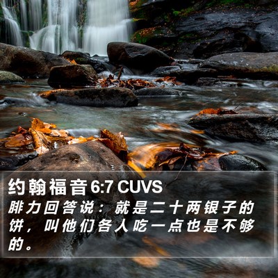 约 翰 福 音 6:7 CUVS Bible Verse Image