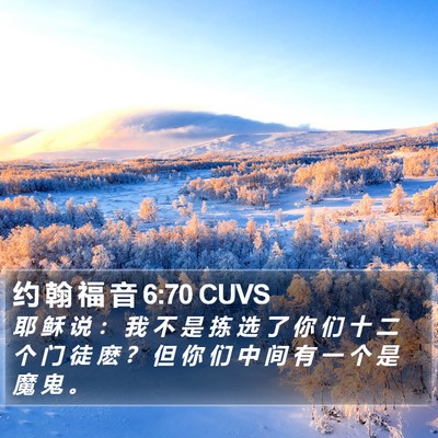约 翰 福 音 6:70 CUVS Bible Verse Image