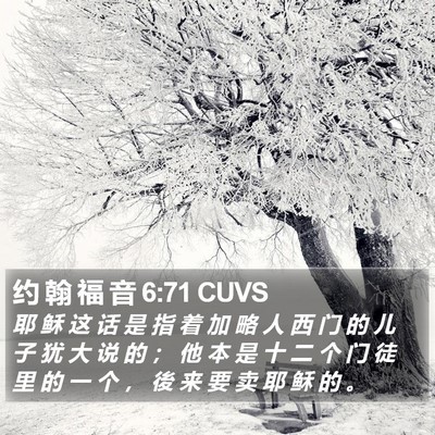 约 翰 福 音 6:71 CUVS Bible Verse Image