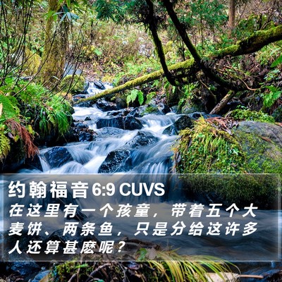 约 翰 福 音 6:9 CUVS Bible Verse Image