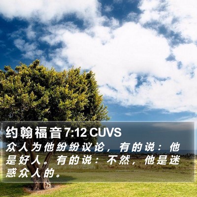 约 翰 福 音 7:12 CUVS Bible Verse Image