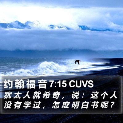 约 翰 福 音 7:15 CUVS Bible Verse Image