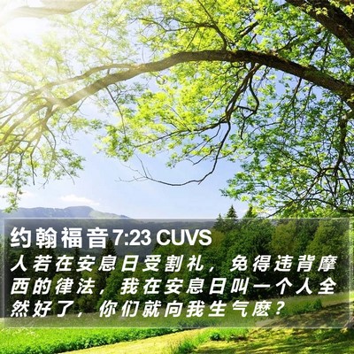 约 翰 福 音 7:23 CUVS Bible Verse Image
