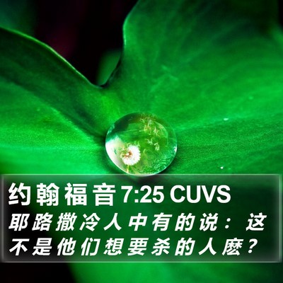 约 翰 福 音 7:25 CUVS Bible Verse Image