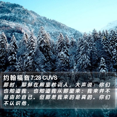 约 翰 福 音 7:28 CUVS Bible Verse Image
