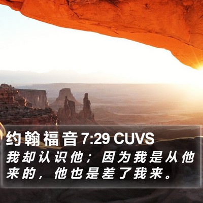 约 翰 福 音 7:29 CUVS Bible Verse Image