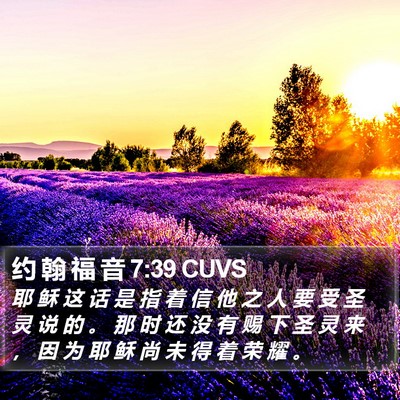 约 翰 福 音 7:39 CUVS Bible Verse Image