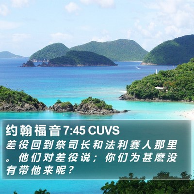 约 翰 福 音 7:45 CUVS Bible Verse Image