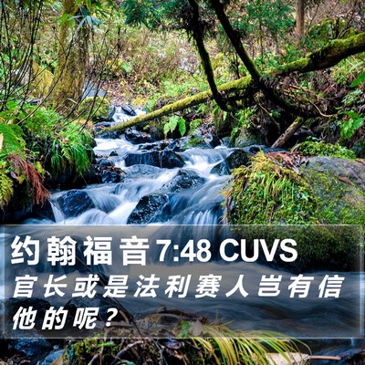 约 翰 福 音 7:48 CUVS Bible Verse Image