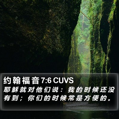 约 翰 福 音 7:6 CUVS Bible Verse Image