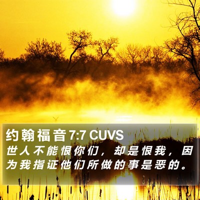 约 翰 福 音 7:7 CUVS Bible Verse Image