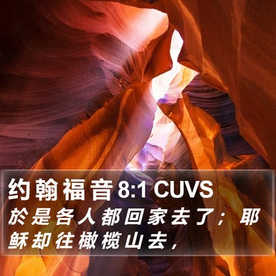 约 翰 福 音 8:1 CUVS Bible Verse Image