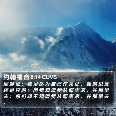 约 翰 福 音 8:14 CUVS Bible Verse Image