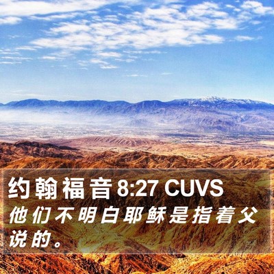 约 翰 福 音 8:27 CUVS Bible Verse Image