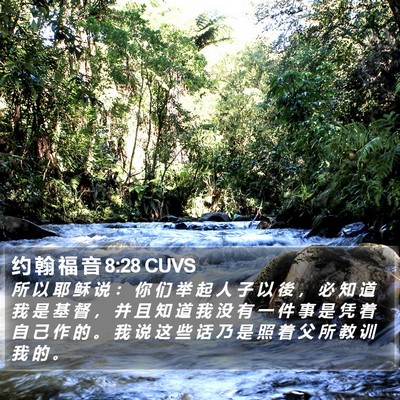 约 翰 福 音 8:28 CUVS Bible Verse Image