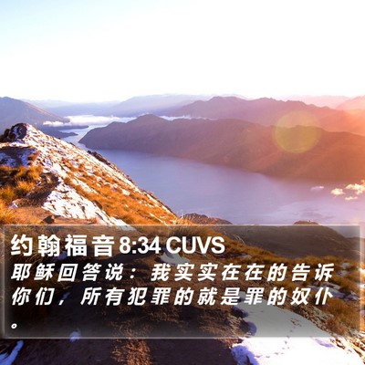 约 翰 福 音 8:34 CUVS Bible Verse Image