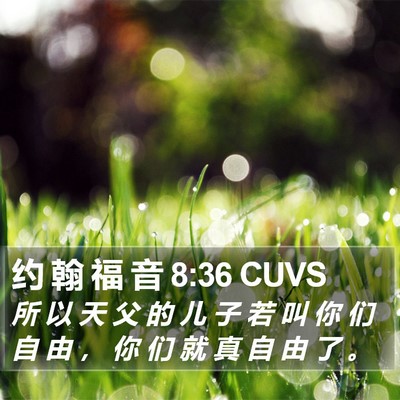 约 翰 福 音 8:36 CUVS Bible Verse Image