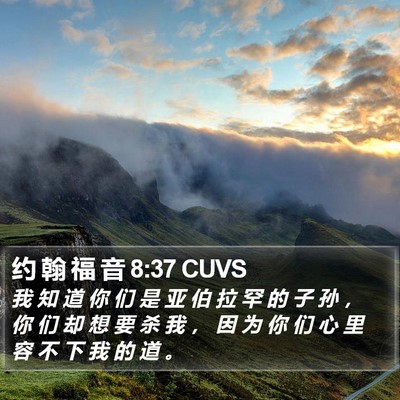 约 翰 福 音 8:37 CUVS Bible Verse Image