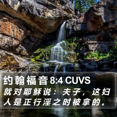 约 翰 福 音 8:4 CUVS Bible Verse Image