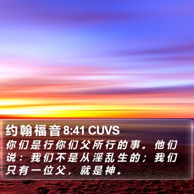 约 翰 福 音 8:41 CUVS Bible Verse Image