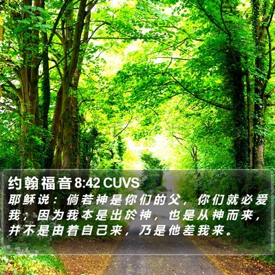 约 翰 福 音 8:42 CUVS Bible Verse Image
