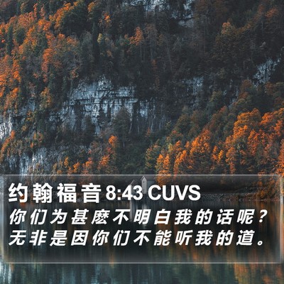 约 翰 福 音 8:43 CUVS Bible Verse Image