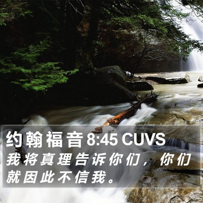 约 翰 福 音 8:45 CUVS Bible Verse Image