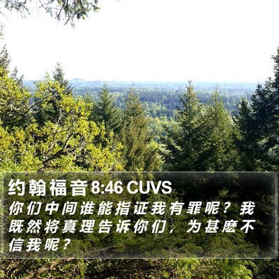 约 翰 福 音 8:46 CUVS Bible Verse Image