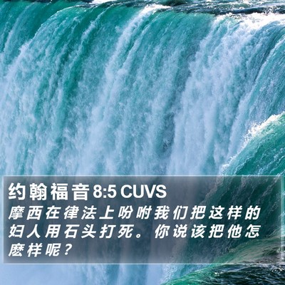约 翰 福 音 8:5 CUVS Bible Verse Image