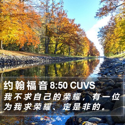 约 翰 福 音 8:50 CUVS Bible Verse Image